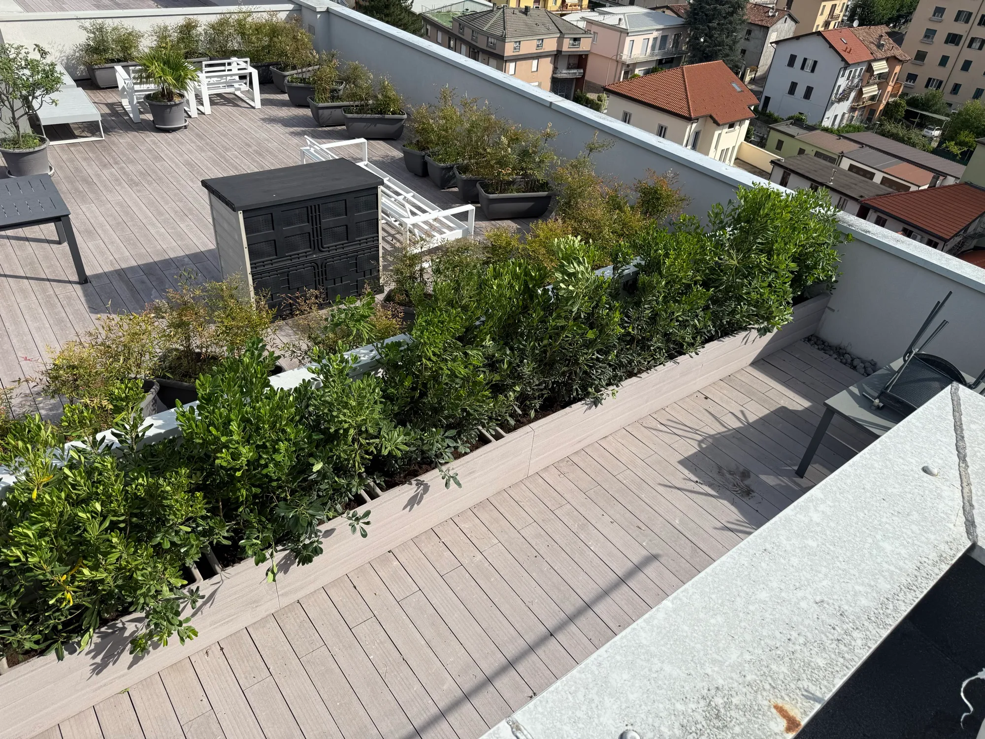 Terrazzo a Lecco con fioriere e piante schermanti per la privacy