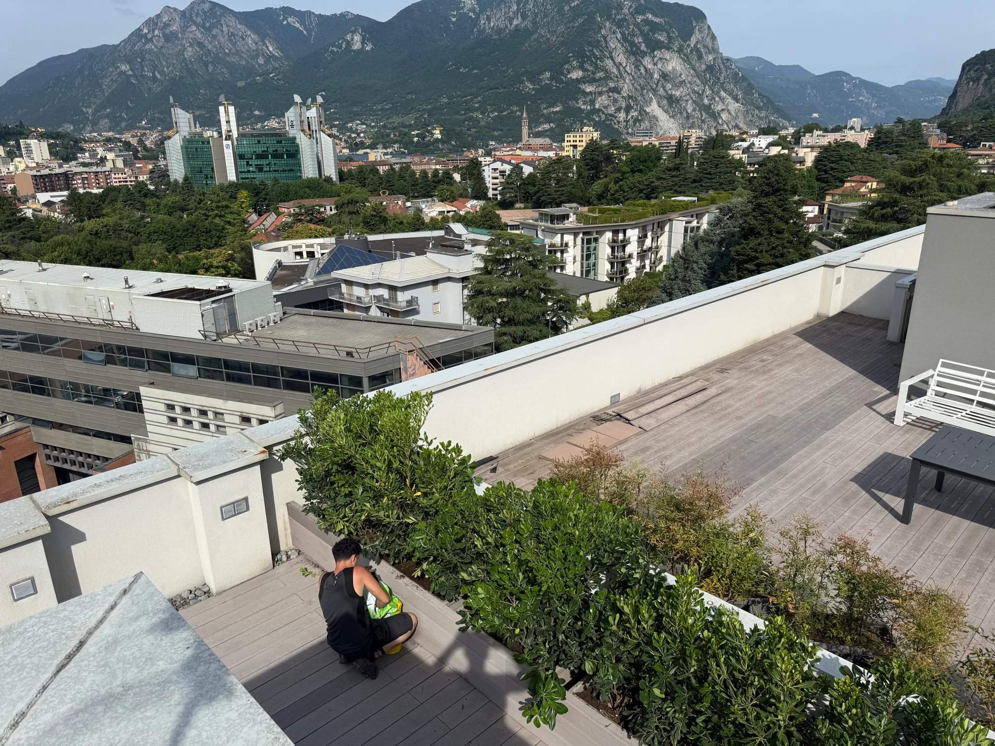 Creazione di aree verdi su terrazzo per la privacy, foto 5