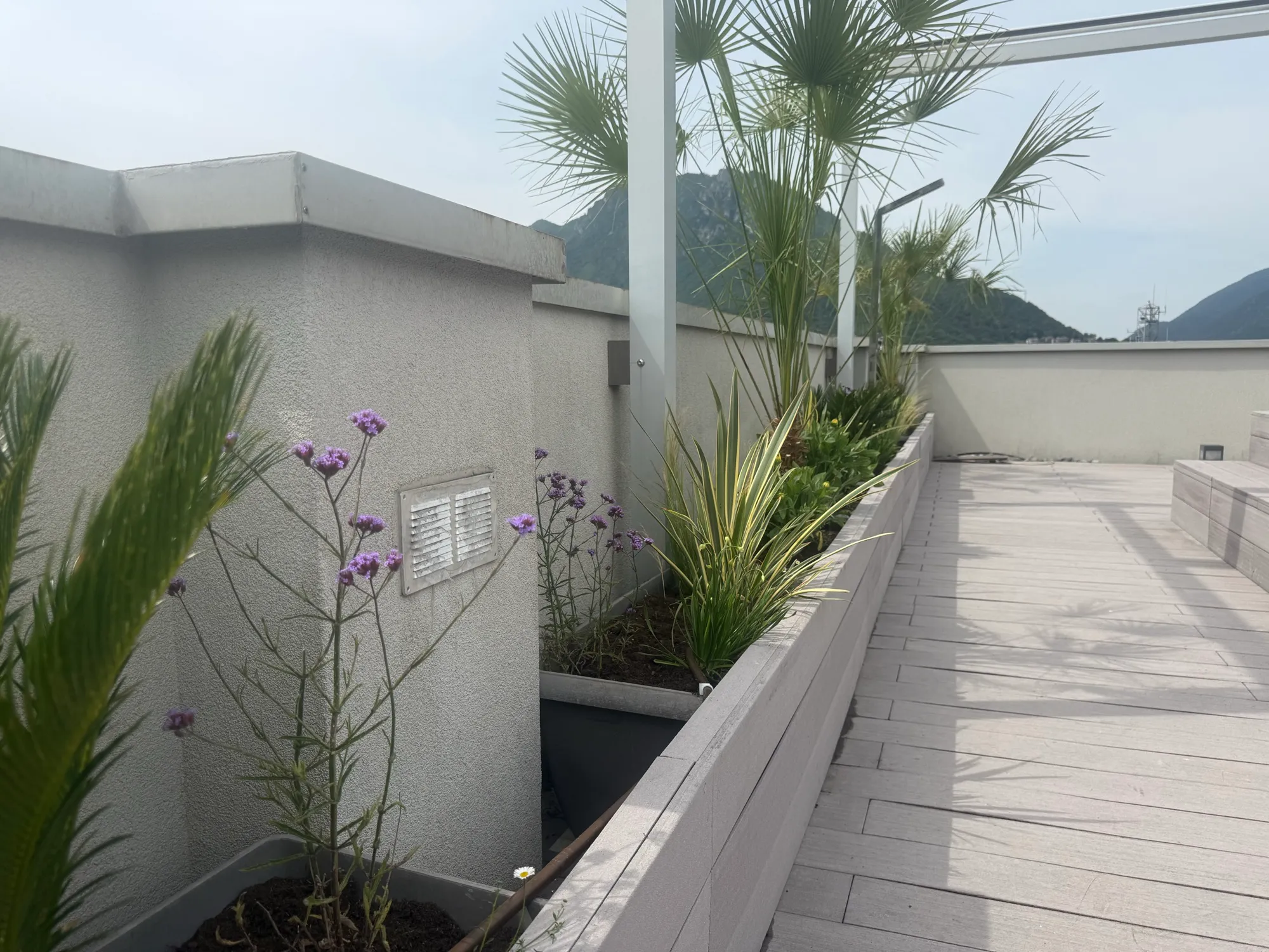 Creazione di aree verdi su terrazzo per la privacy, foto 8