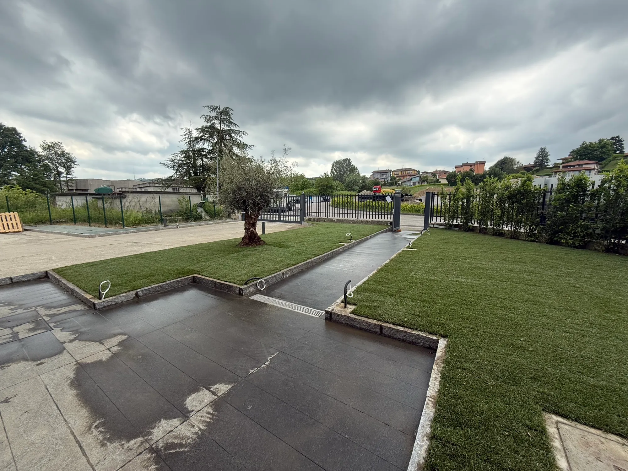 Creazione del verde aziendale con ulivo e irrigazione, foto 9
